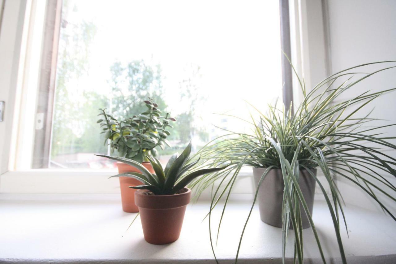 City Centre Apartment Puistokatu 29 Jyväskylä エクステリア 写真